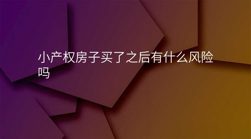 小产权房子买了之后有什么风险吗