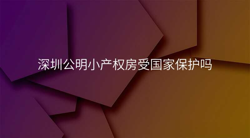 深圳公明小产权房受国家保护吗