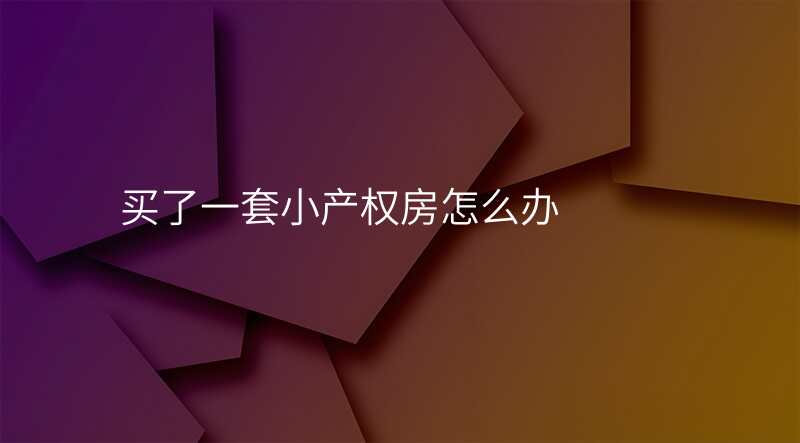 买了一套小产权房怎么办