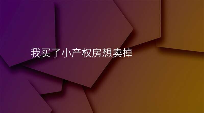 我买了小产权房想卖掉