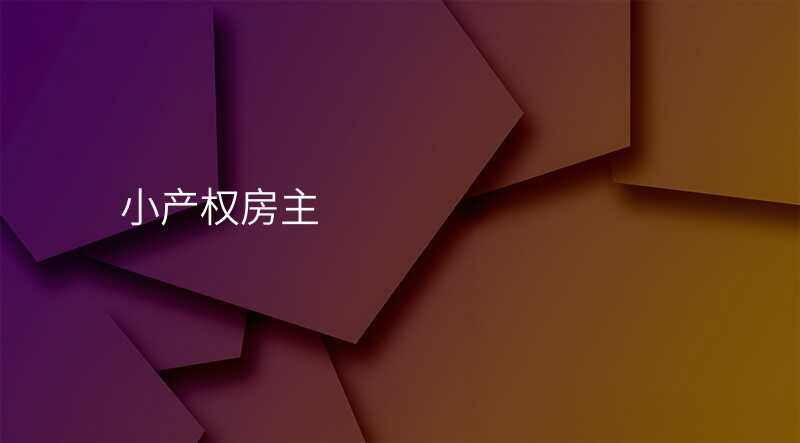 小产权房主