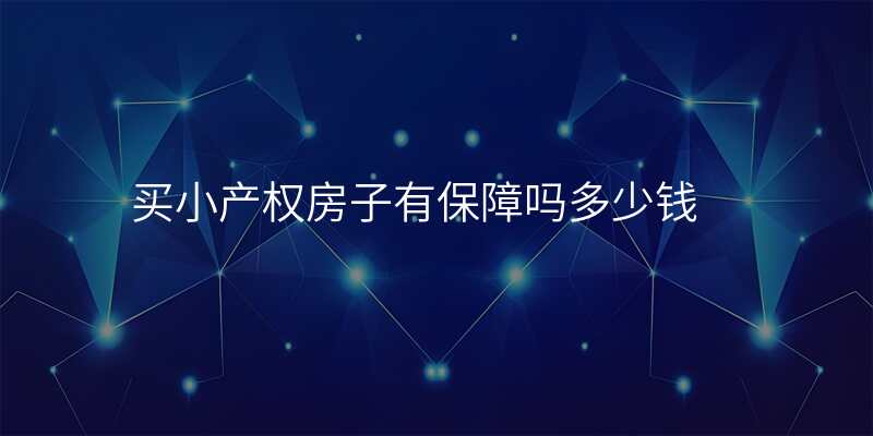 买小产权房子有保障吗多少钱
