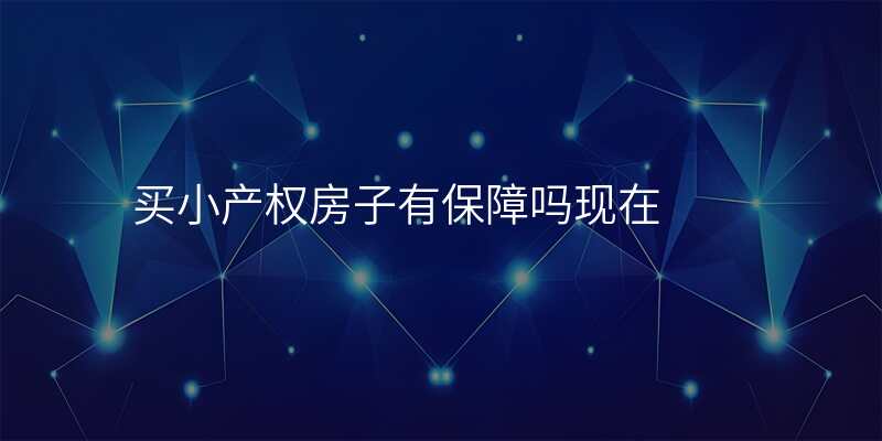 买小产权房子有保障吗现在