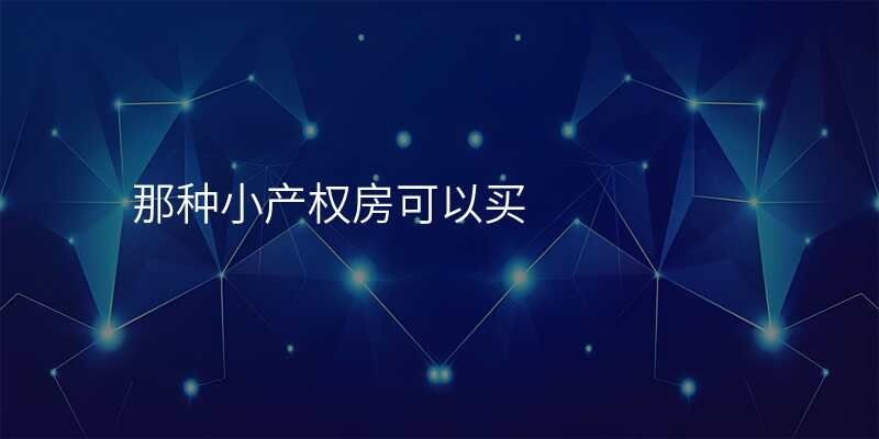 那种小产权房可以买