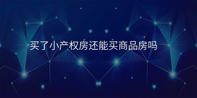 买了小产权房还能买商品房吗
