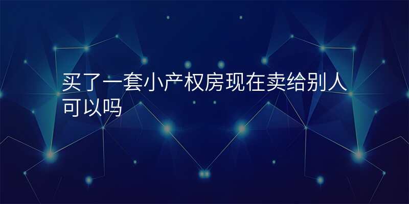 买了一套小产权房现在卖给别人可以吗