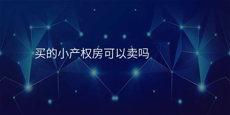 买的小产权房可以卖吗