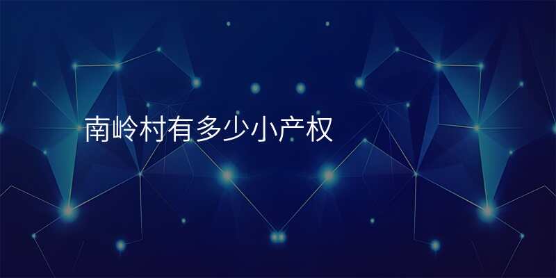 南岭村有多少小产权