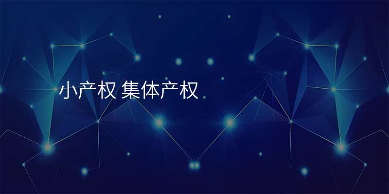 小产权 集体产权