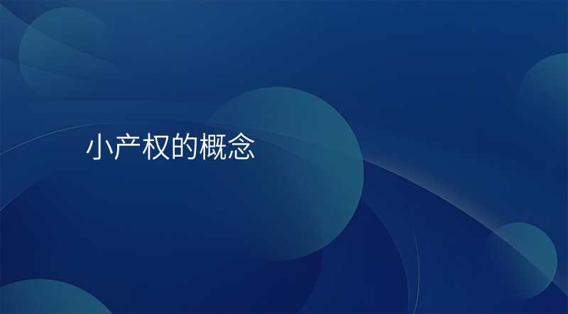 小产权的概念