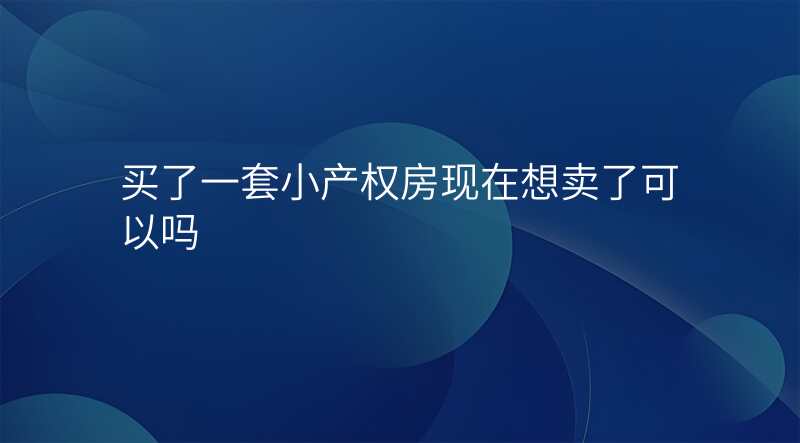 买了一套小产权房现在想卖了可以吗