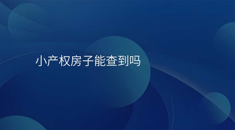 小产权房子能查到吗