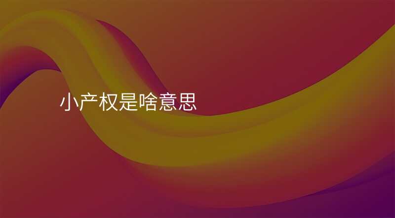 小产权是啥意思