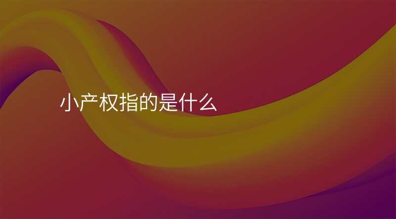 小产权指的是什么