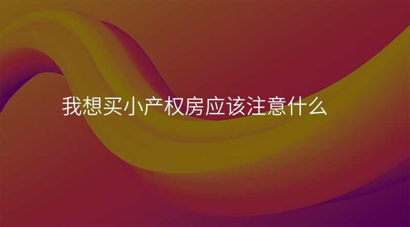 我想买小产权房应该注意什么