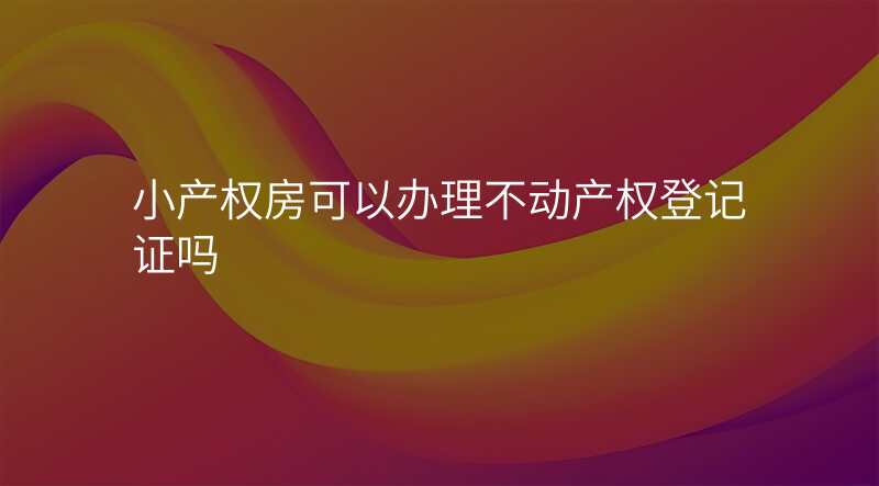 小产权房可以办理不动产权登记证吗