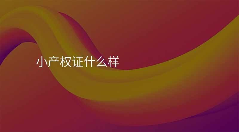 小产权证什么样