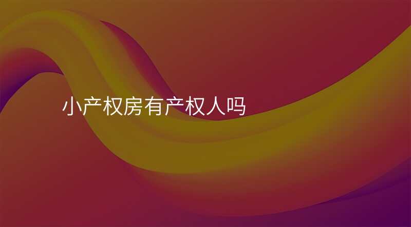 小产权房有产权人吗
