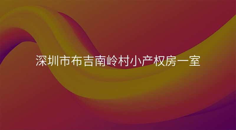 深圳市布吉南岭村小产权房一室