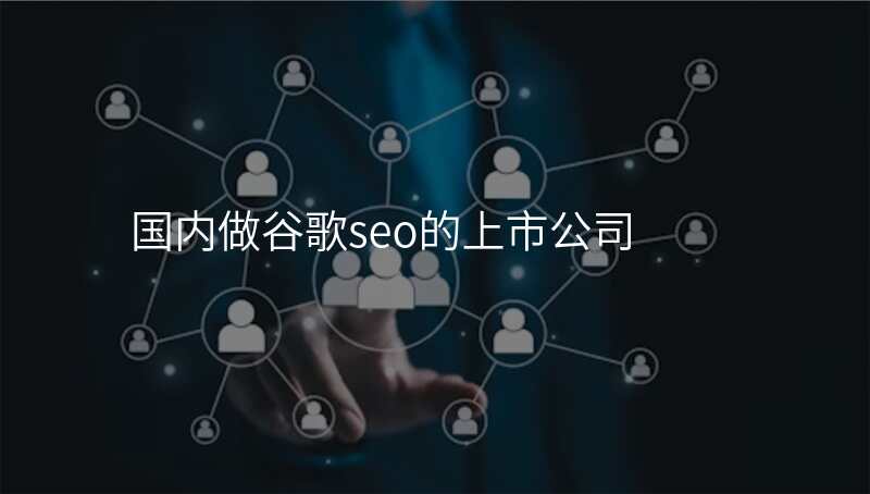 国内做谷歌seo的上市公司