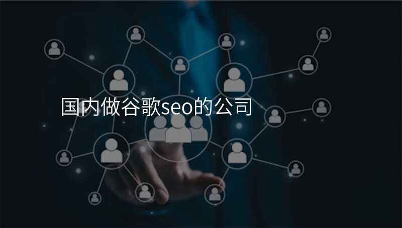 国内做谷歌seo的公司