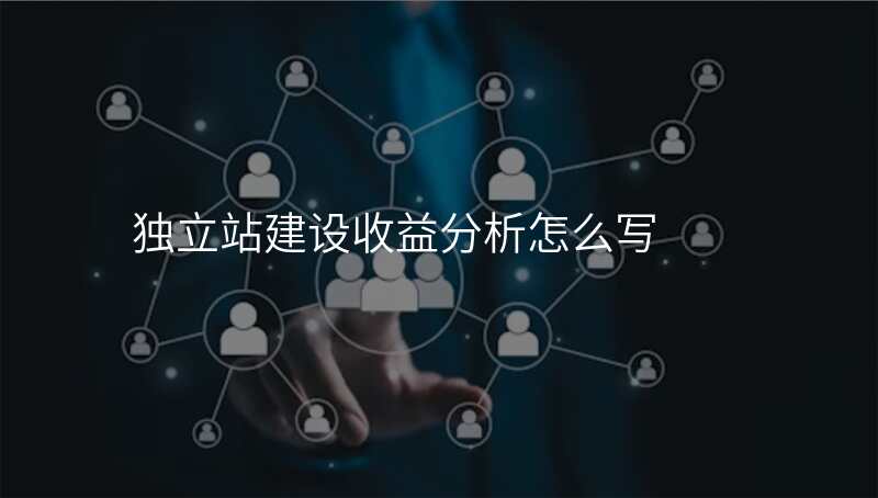 独立站建设收益分析怎么写