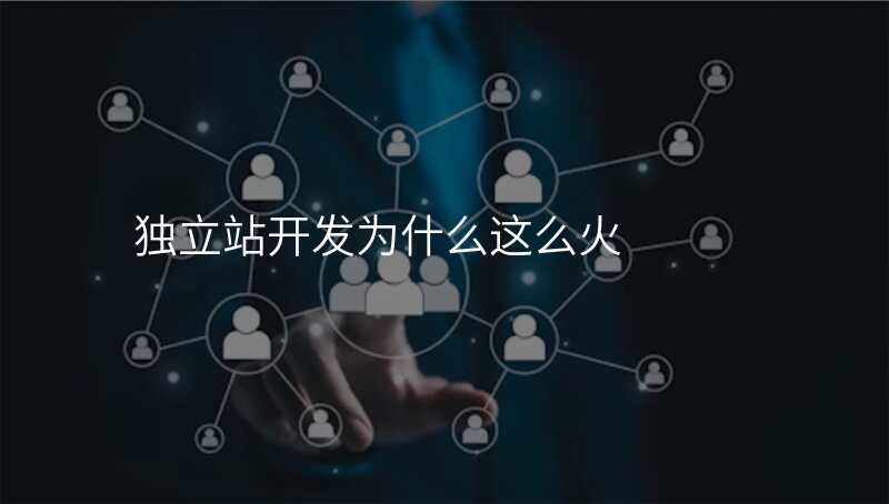独立站开发为什么这么火