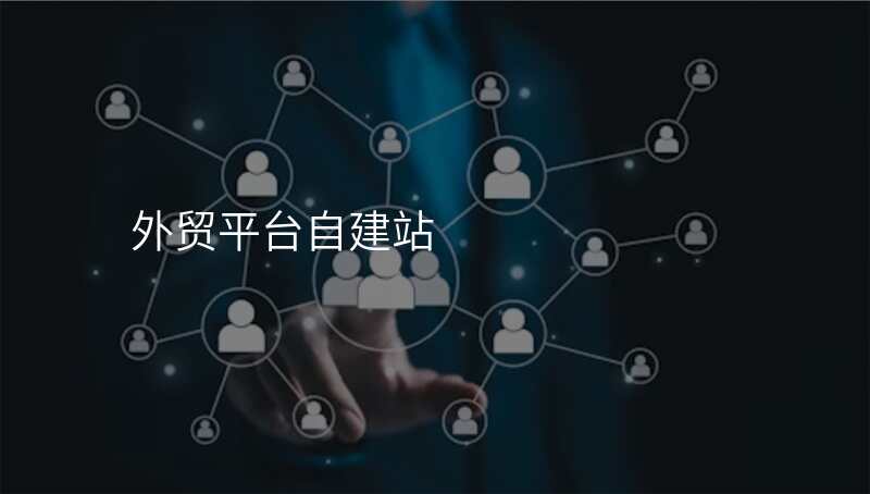 外贸平台自建站