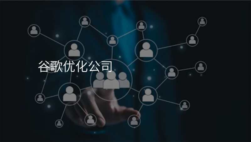 谷歌优化公司