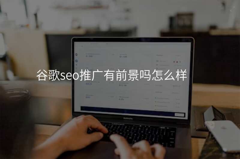 谷歌seo推广有前景吗怎么样