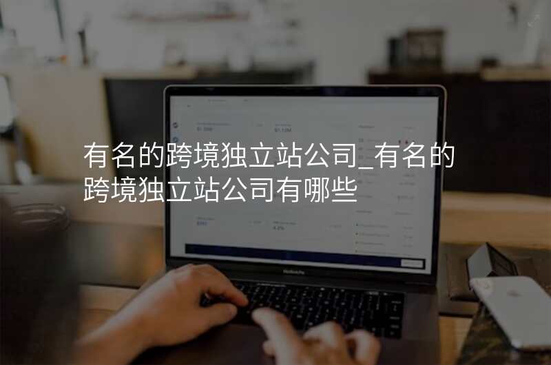 有名的跨境独立站公司_有名的跨境独立站公司有哪些