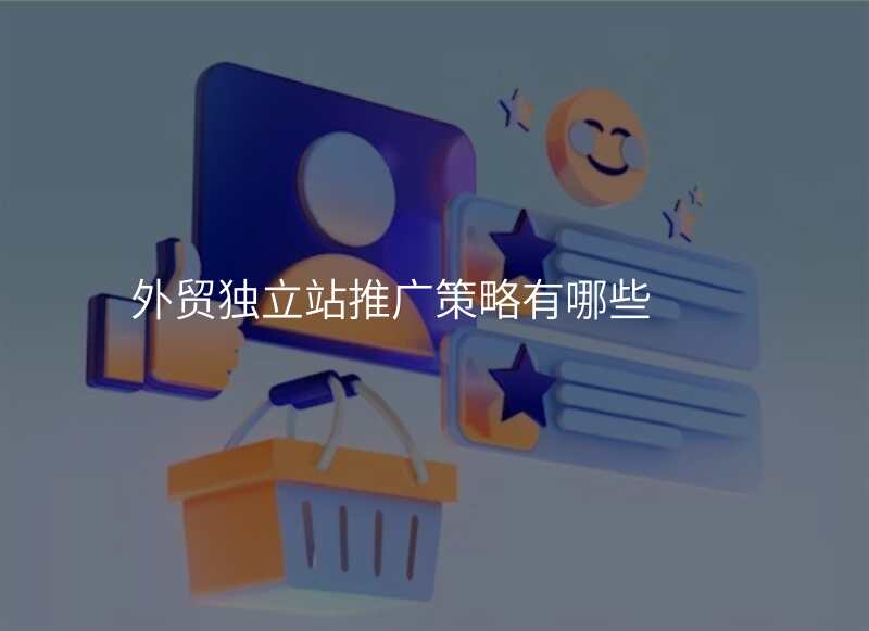 外贸独立站推广策略有哪些