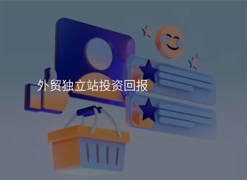 外贸独立站投资回报