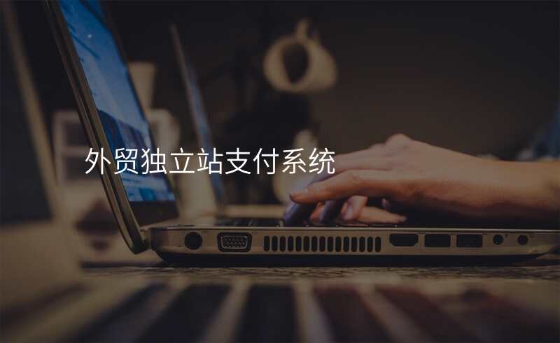 外贸独立站支付系统