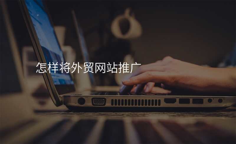 怎样将外贸网站推广