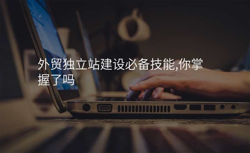 外贸独立站建设必备技能,你掌握了吗