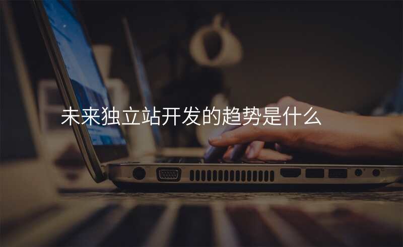 未来独立站开发的趋势是什么
