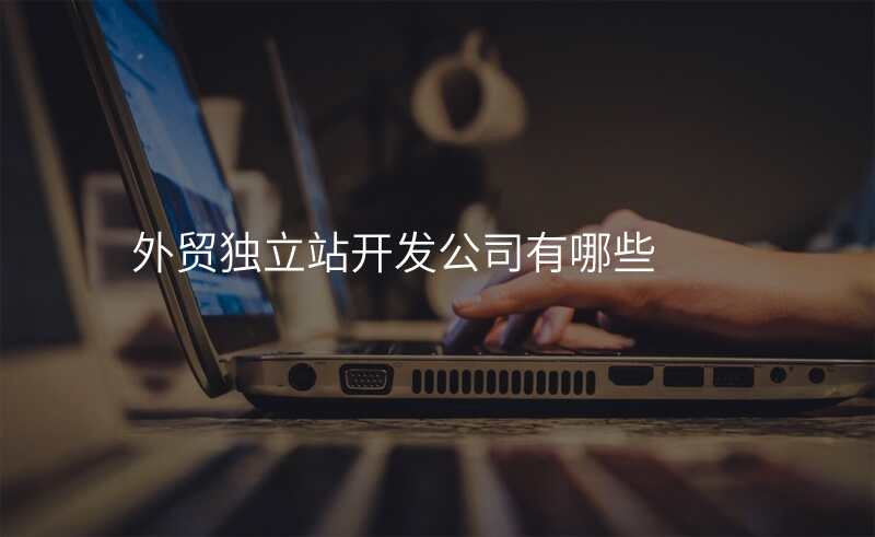 外贸独立站开发公司有哪些