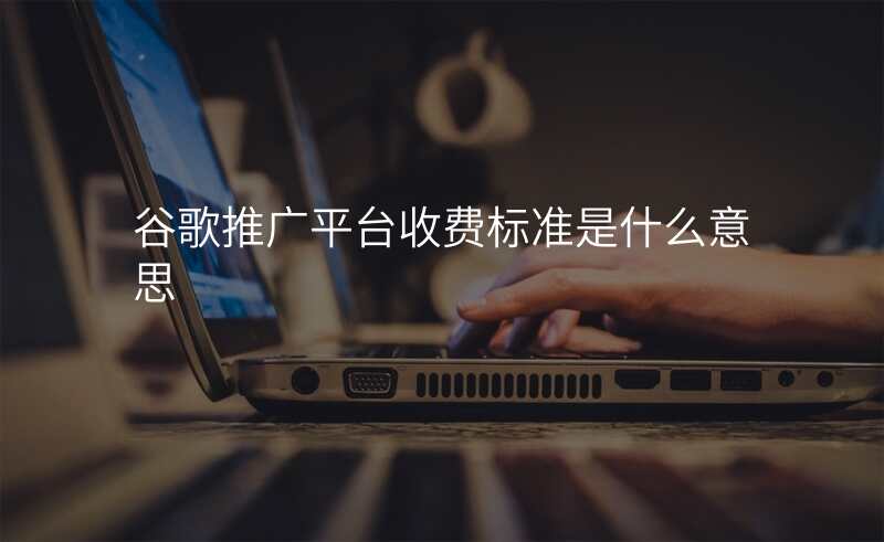 谷歌推广平台收费标准是什么意思