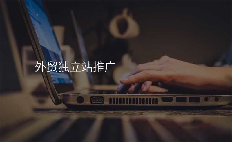 外贸独立站推广