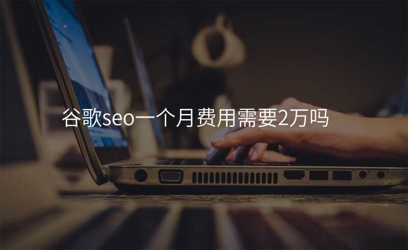 谷歌seo一个月费用需要2万吗