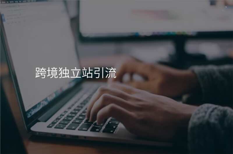 跨境独立站引流
