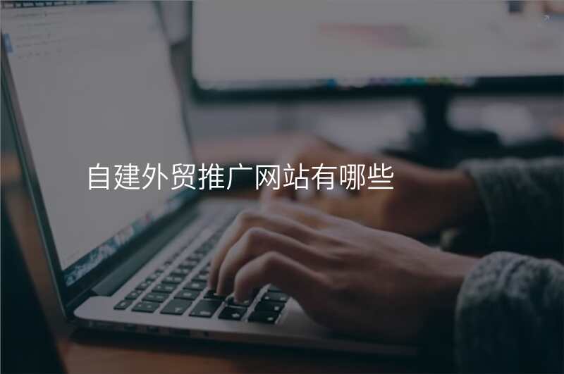 自建外贸推广网站有哪些