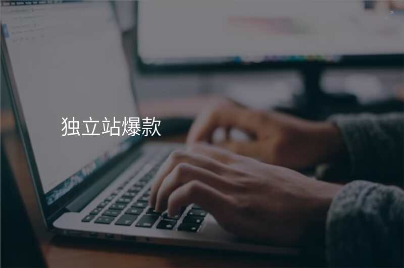 独立站爆款