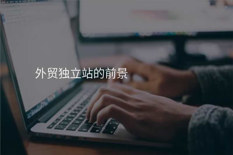 外贸独立站的前景