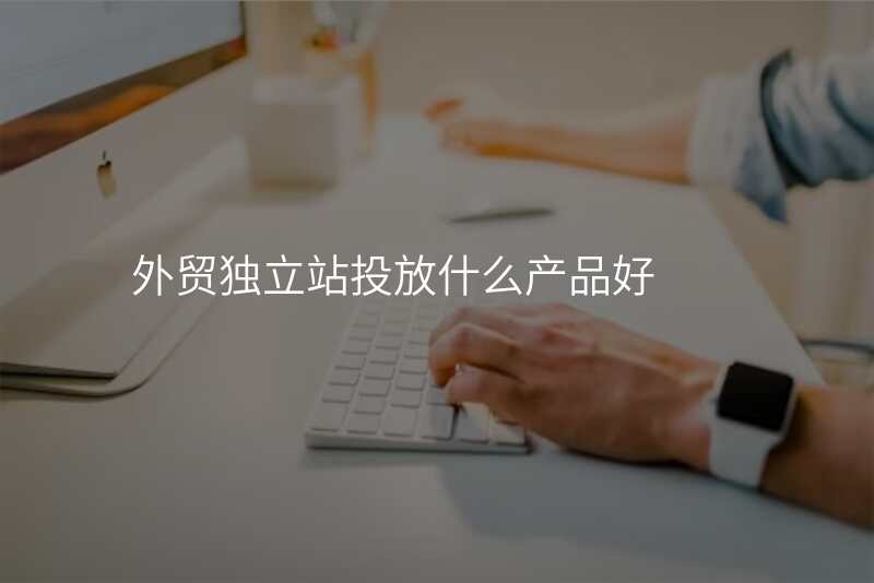 外贸独立站投放什么产品好