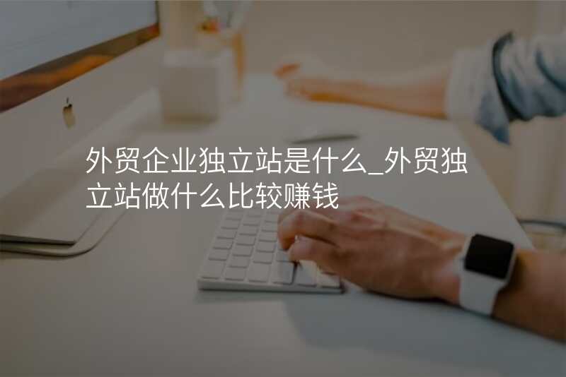 外贸企业独立站是什么_外贸独立站做什么比较赚钱