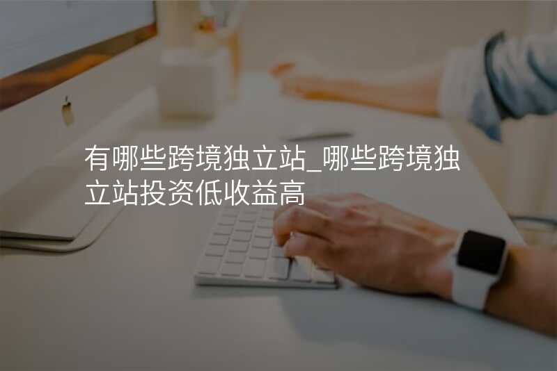 有哪些跨境独立站_哪些跨境独立站投资低收益高