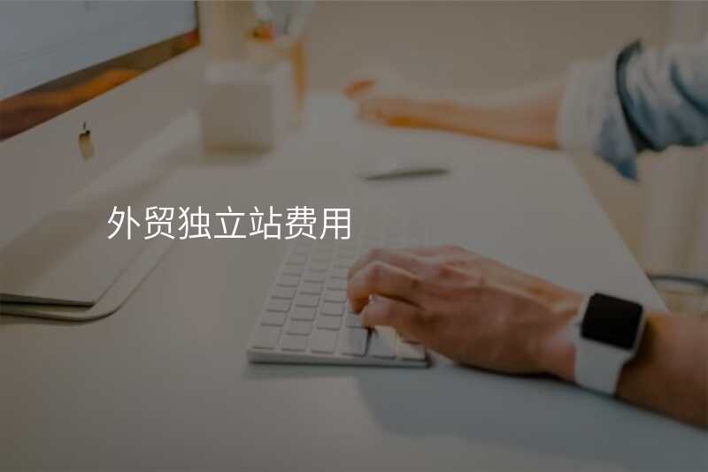 外贸独立站费用
