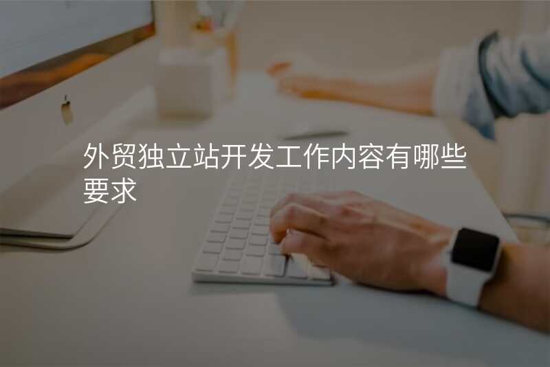 外贸独立站开发工作内容有哪些要求